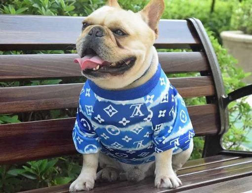 LV Monogram blue tie dye dog jumper