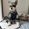 Small dog wearing a green and navy jacket with white buttons on a carpeted floor.