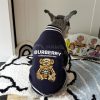 Dog wearing a Burberry hoodie on a bed with a Snoopy pillow in the background