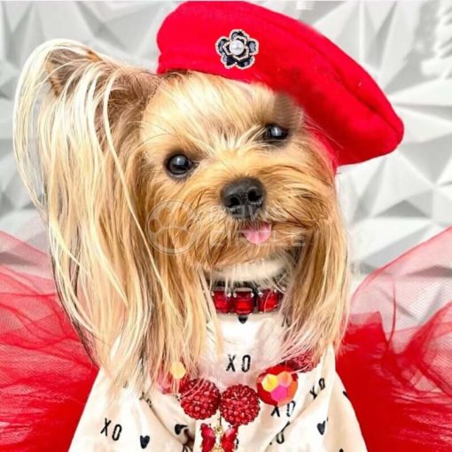 Chanel Camellia Dog Beret Hat