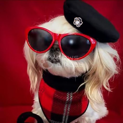 Chanel Camellia Dog Beret Hat