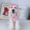 Pawnel Cooling Tank Top for dogs - Paws Circle product image