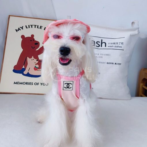 Pawnel Cooling Tank Top for dogs - Paws Circle product image
