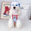 Pawnel Cooling Tank Top for dogs - Paws Circle product image