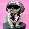 Chanel Dog Sunvisor Hat