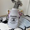 Dog wearing a Chanel jacket on a rug with cartoon pillows in the background
