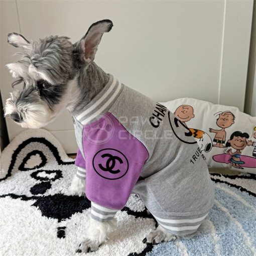 Dog wearing a gray and purple outfit with a Chanel logo on a bed with a cartoon-themed blanket.