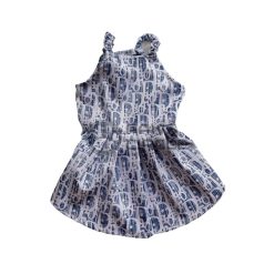 christian dior dress for dog