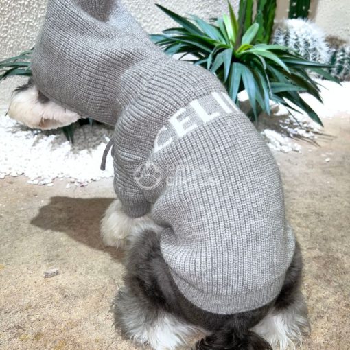 celine hoodie for dogs