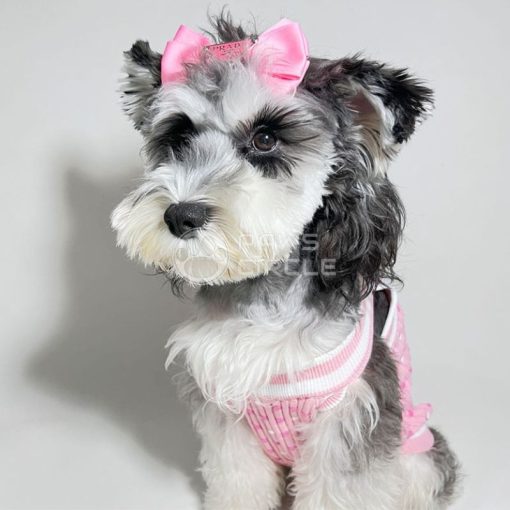 chanel dog knit tank top in pink