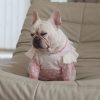 Dogior Studio Layer Sweater for dogs - Paws Circle product image