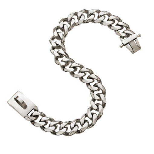 silver chain for dogs