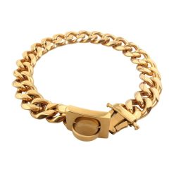 gold necklace for dog