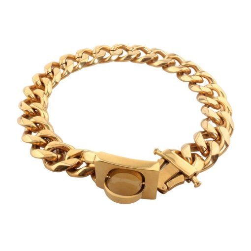 gold necklace for dog