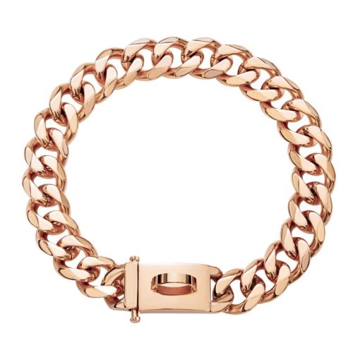 rose gold necklace for dog