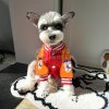christian dior varsity jacket for dog