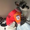 Christian Dior varsity jacket for dog