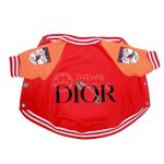 Dogior Varsity Jacket
