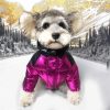Pawcler dog coat in purple