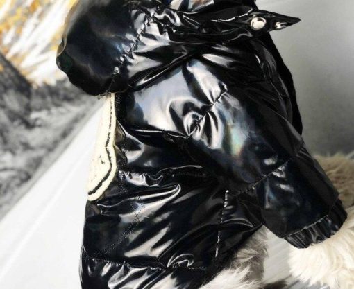 Moncler down jacket for dog