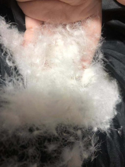 Quality down feather
