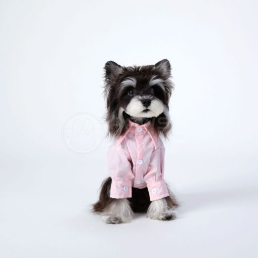 oxford shirt for dogs