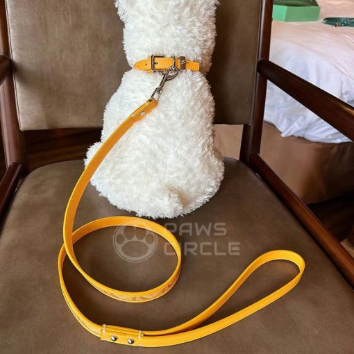 goyard dog collar and leash