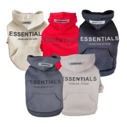 Fearless Everyday Hoodie