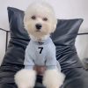Small white dog wearing a gray sweater with a number 7 on a dark gray chair.