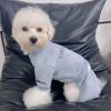 Small white dog wearing a gray outfit with 'ESSENTIALS' branding on a dark gray chair.