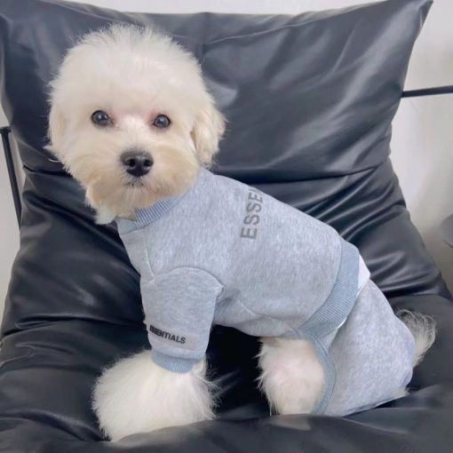 Small white dog wearing a gray outfit with 'ESSENTIALS' branding on a dark gray chair.