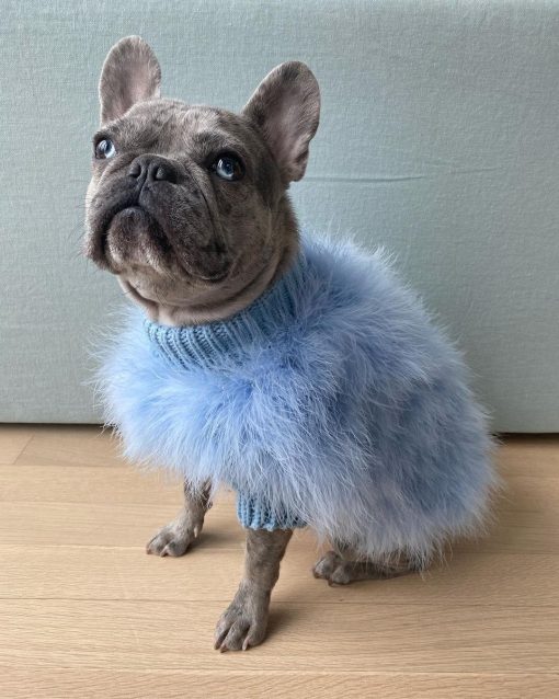 christian cowan maxbone feather dog jumper in blue