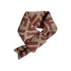 Fendi scarf for dog