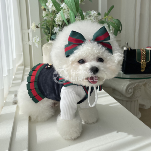 gucci dog clothes