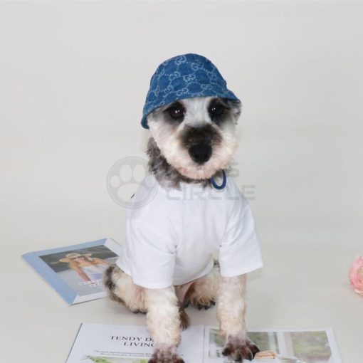 gucci bucket hat for dog