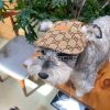 Gucci monogram Dog hat