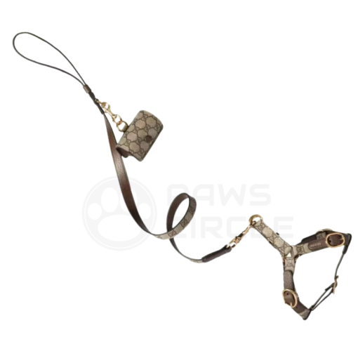 Gucci Dog Pouch, Harness & Leash