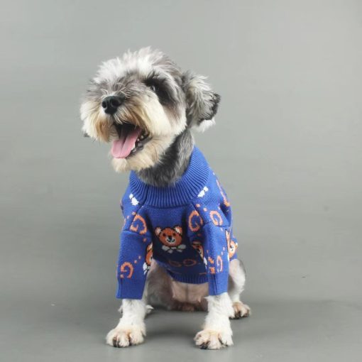 Gucci Teddy Bear Dog Sweater