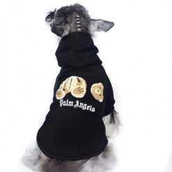 palm angel bear hoodie