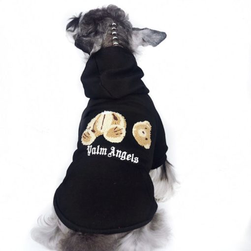 palm angel bear hoodie