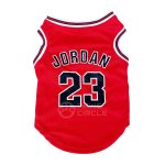 Jumpman 23 Basketball Jersey