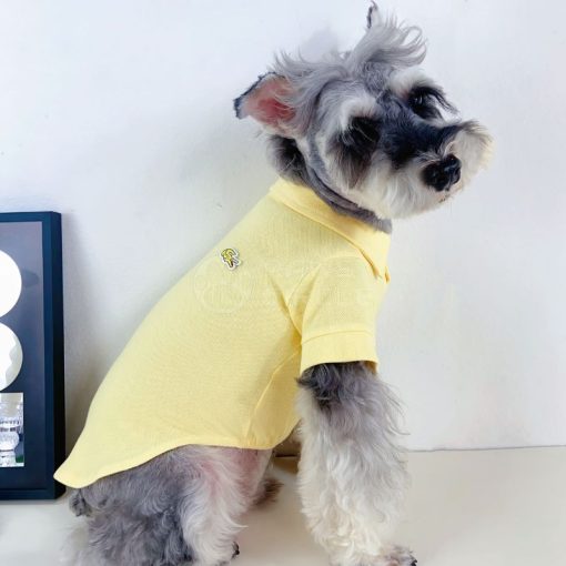 lacoste polo tee for dog