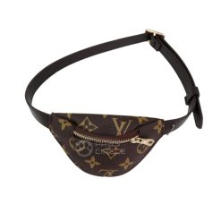 Louis Vuitton Bum Bag for Dog