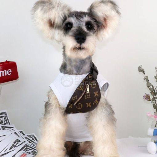 Louis Vuitton Bum Bag for Dog