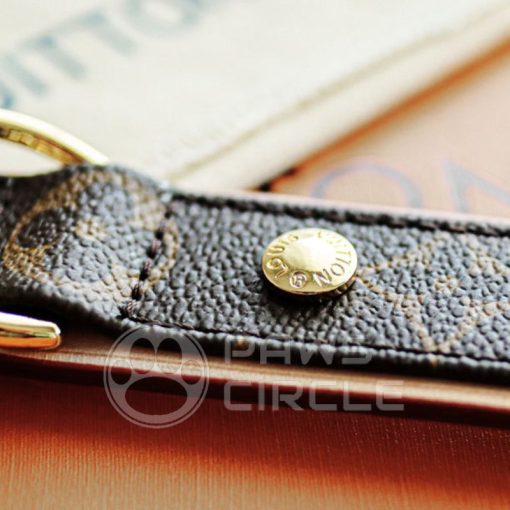 louis vuitton dog walking set