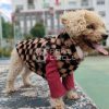 LUXURY DOG JACKET