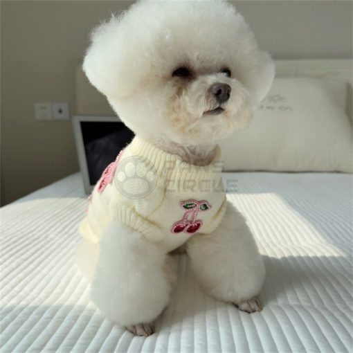 miu miu jumper for dog