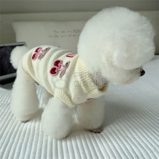 miu miu jumper for dog