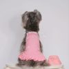 Meow Meow Ribbon Dress for dogs - Paws Circle product image