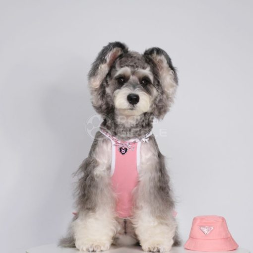 Meow Meow Ribbon Dress for dogs - Paws Circle product image